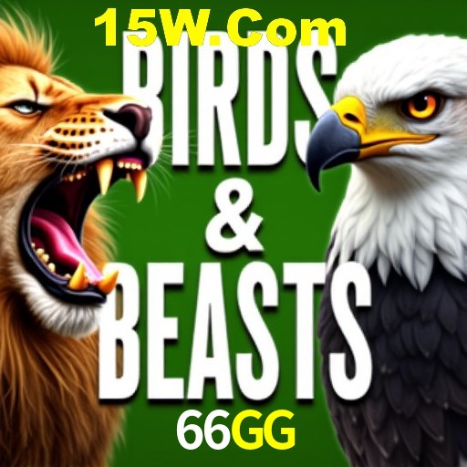 Interface Premium 66GG